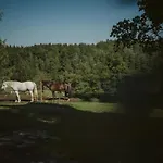 Hali - Hideaway