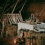 Hali - Hideaway Raseborg