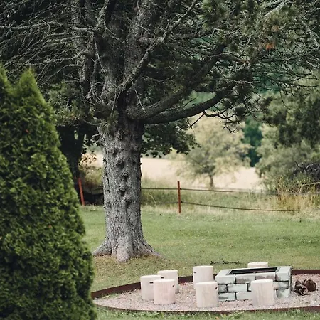 Hali - Hideaway Raseborg