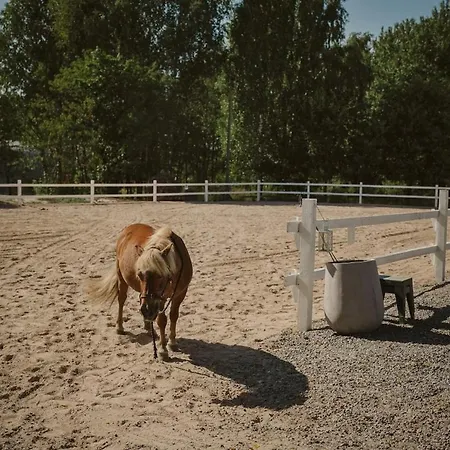 Hali - Hideaway Huoneisto *
