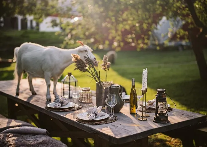 Hali - Hideaway Apartment *