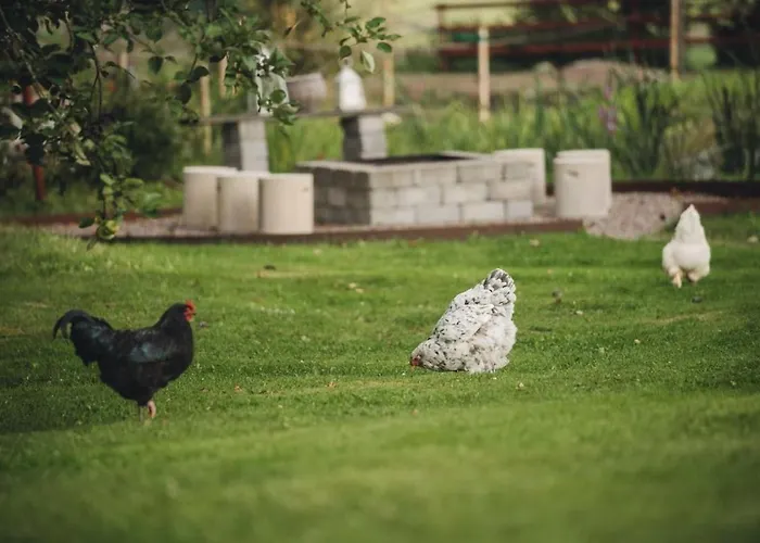 Apartmán Hali - Hideaway *