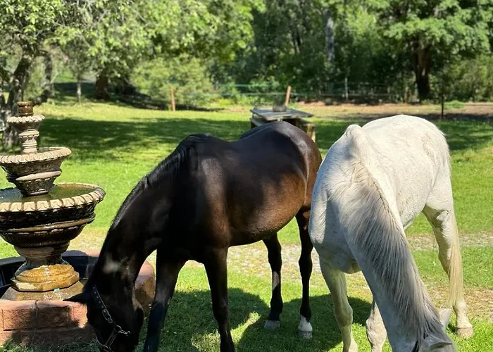 Hali - Hideaway * Raseborg