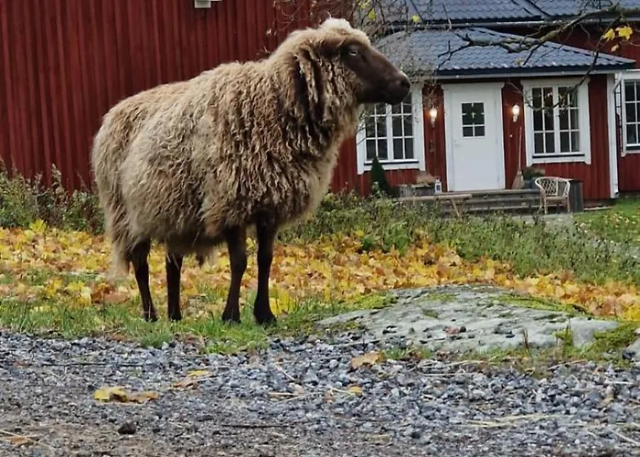 Apartmán Hali - Hideaway *