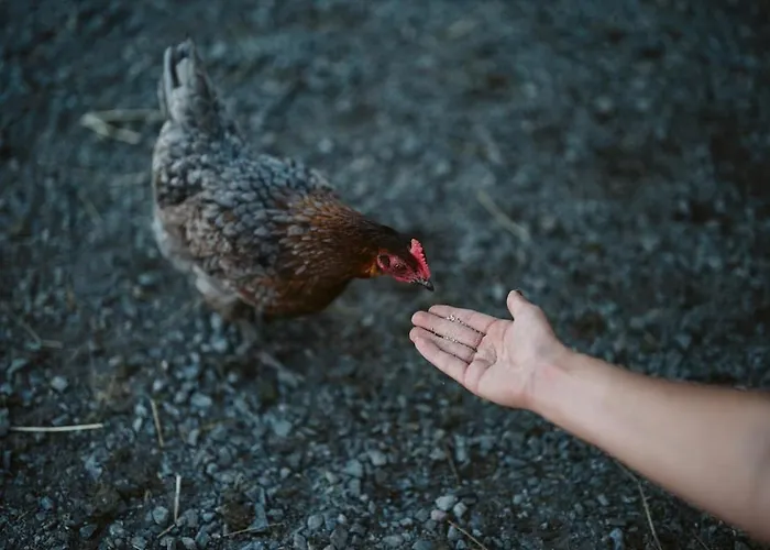 Apartment Hali - Hideaway Raseborg