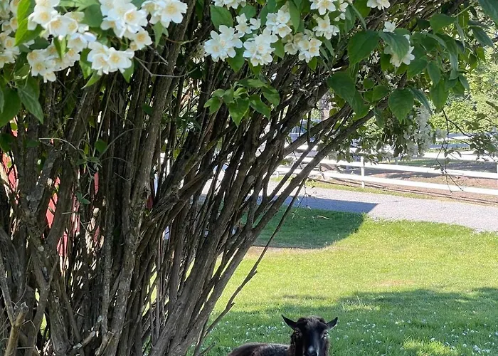 Hali - Hideaway Apartment Raseborg